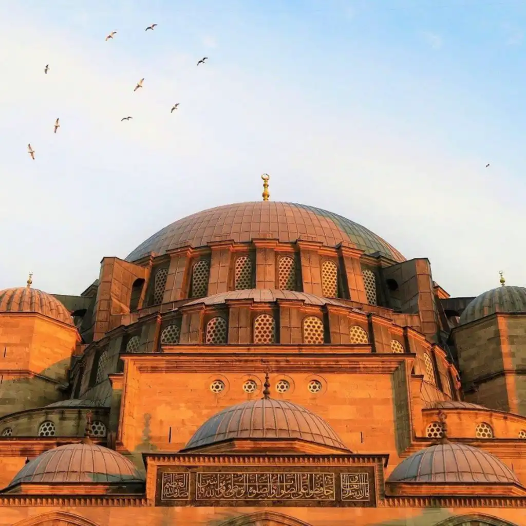 header-image