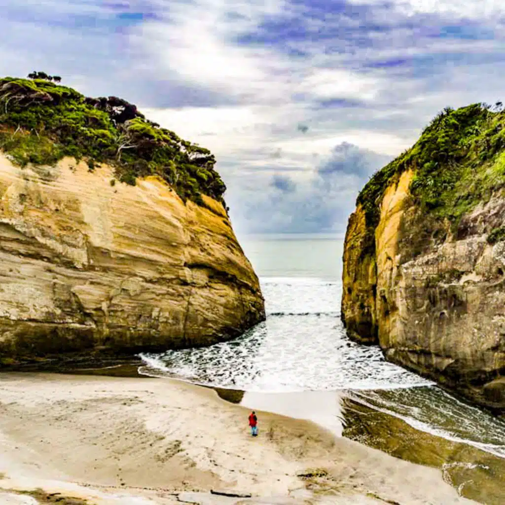 header-image