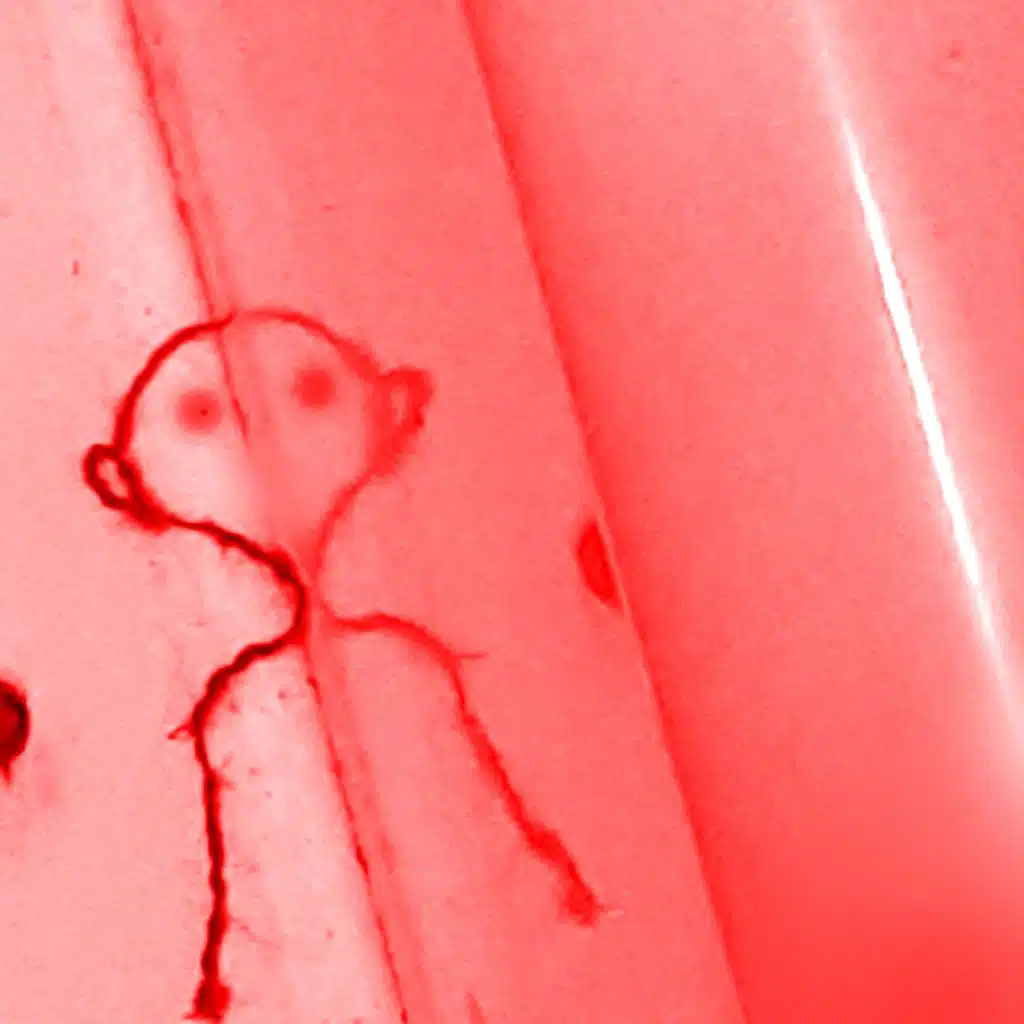 header-image
