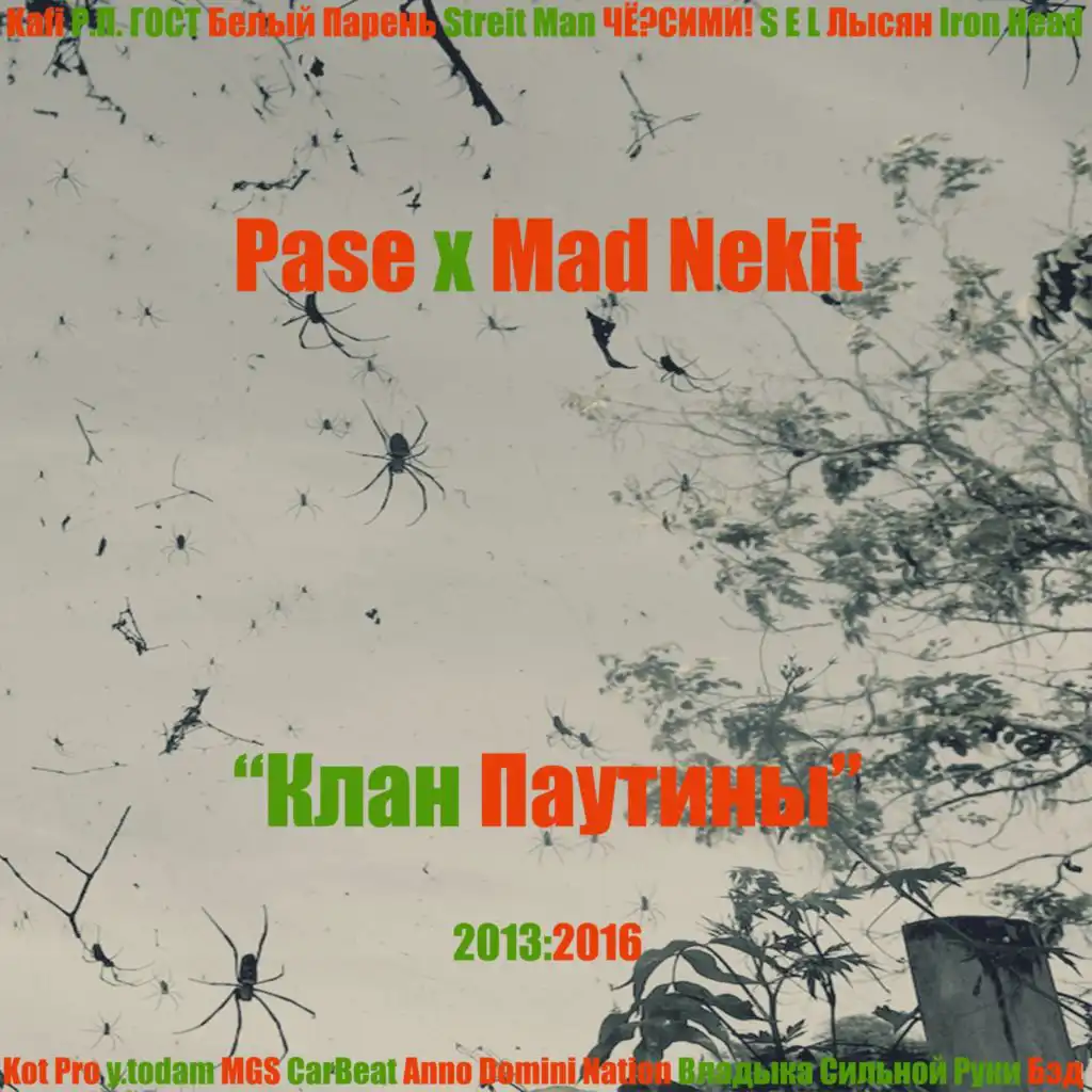 artist-header-image