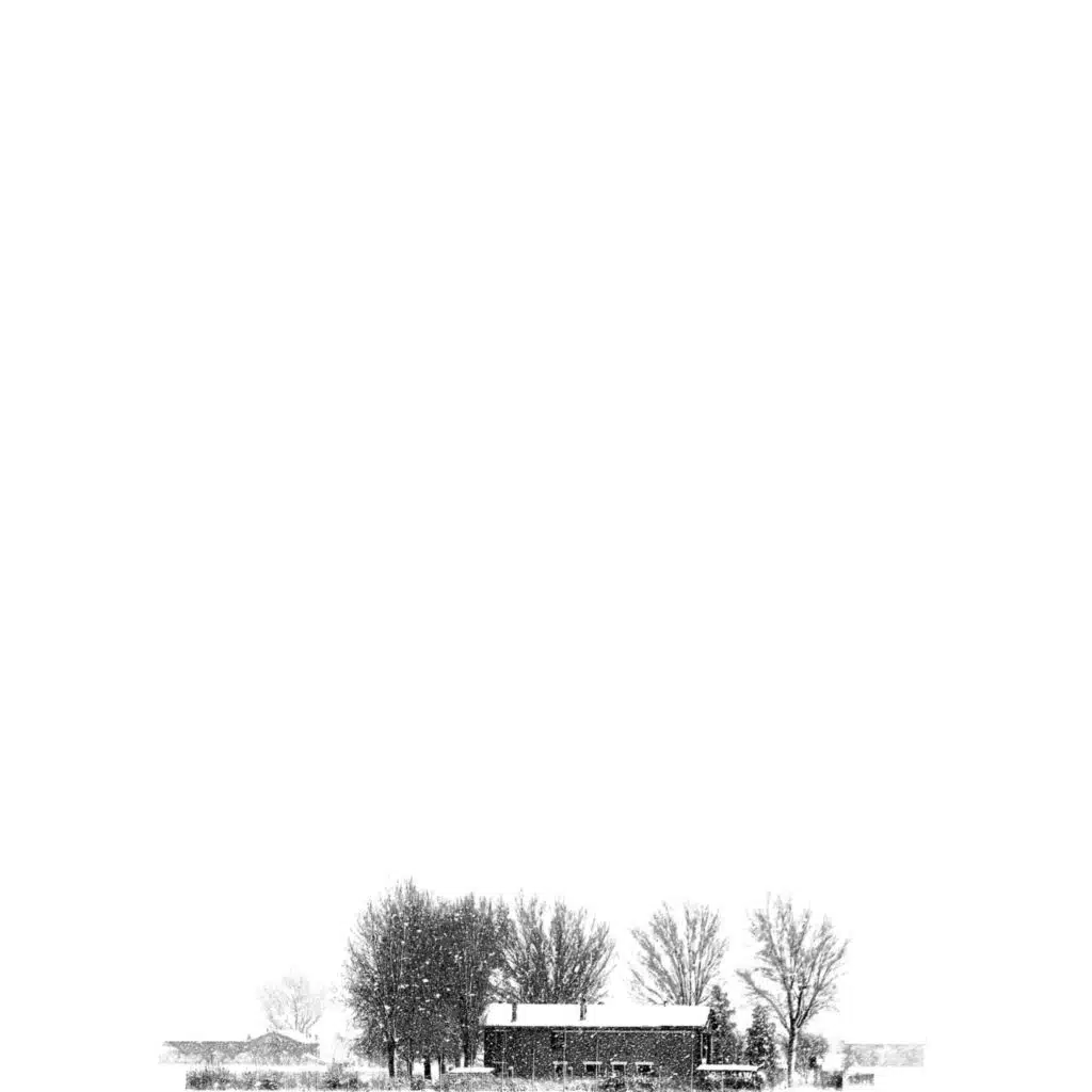 header-image