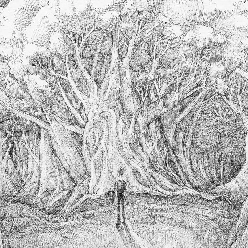 artist-header-image