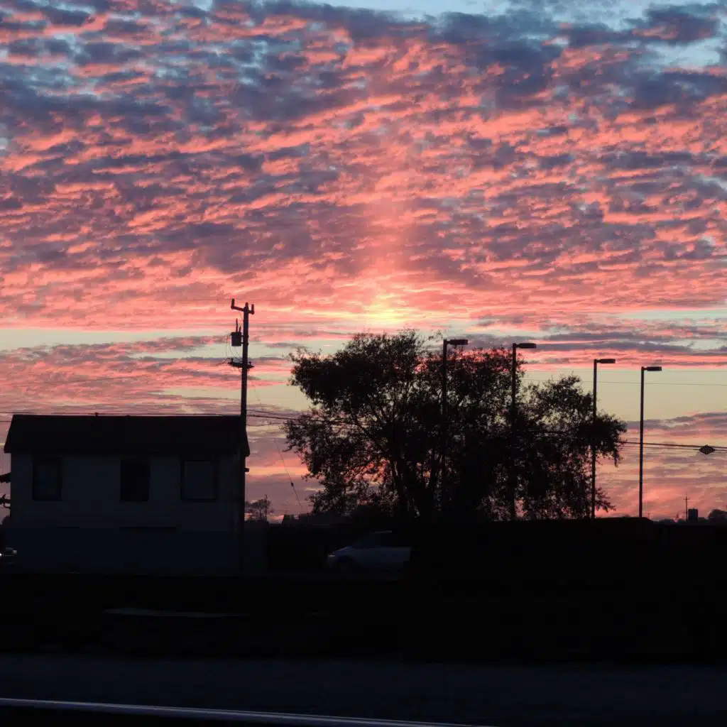 header-image