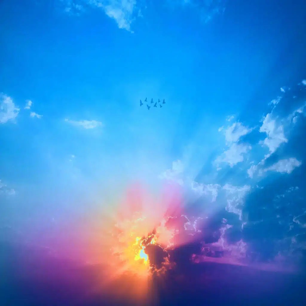 header-image