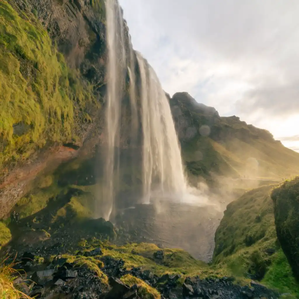header-image