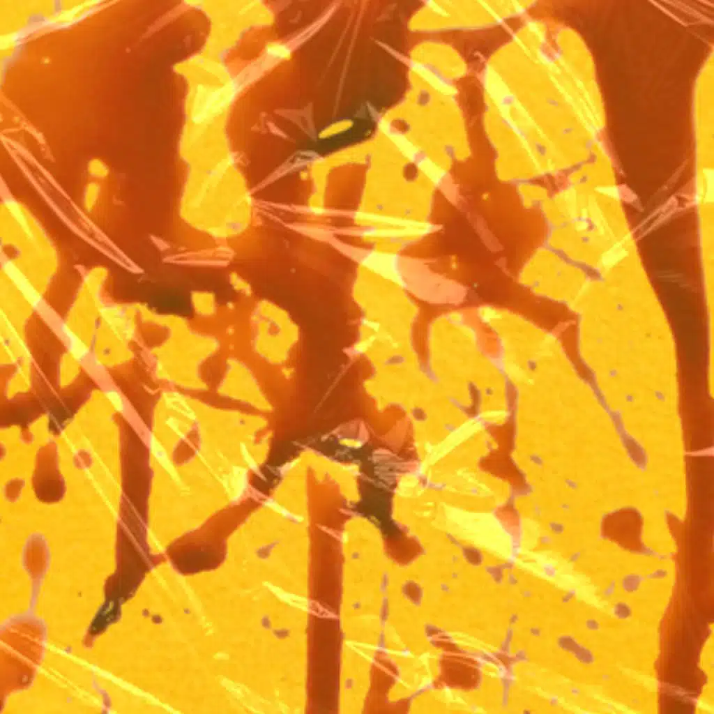 header-image