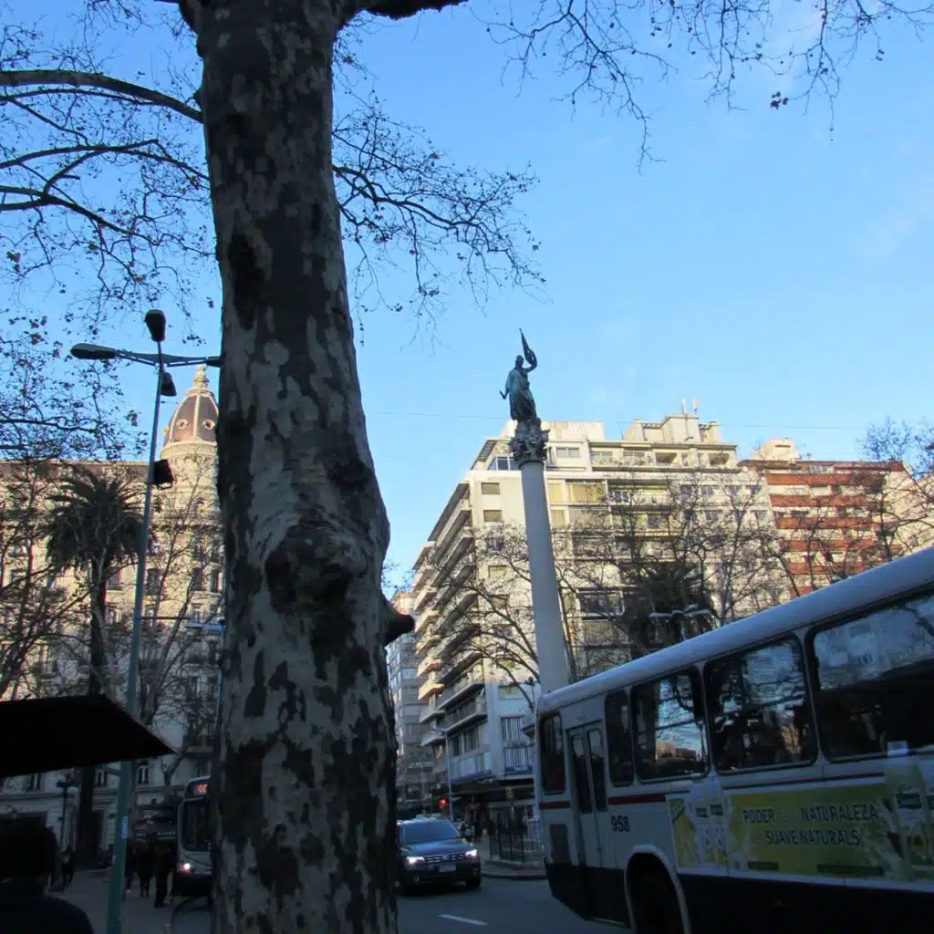 header-image