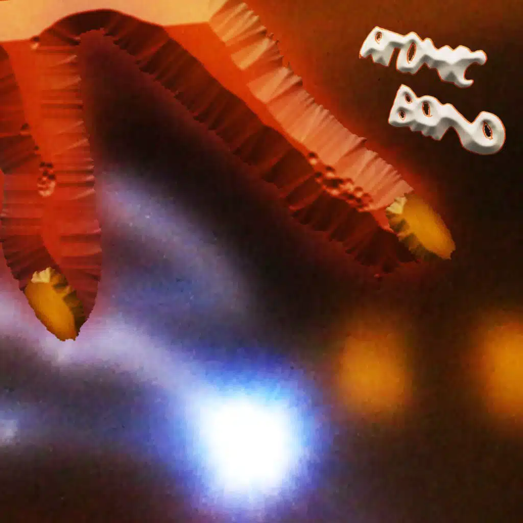 header-image