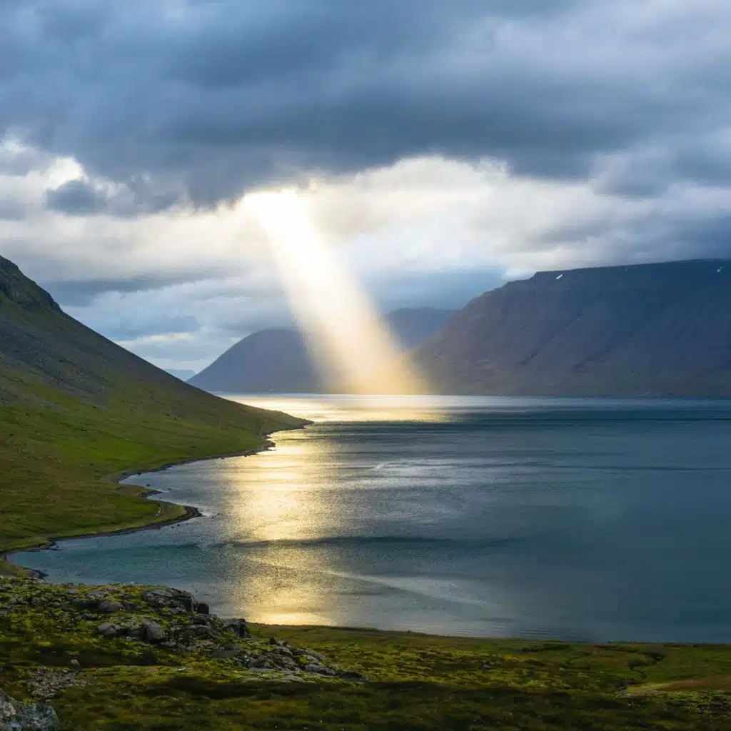 header-image