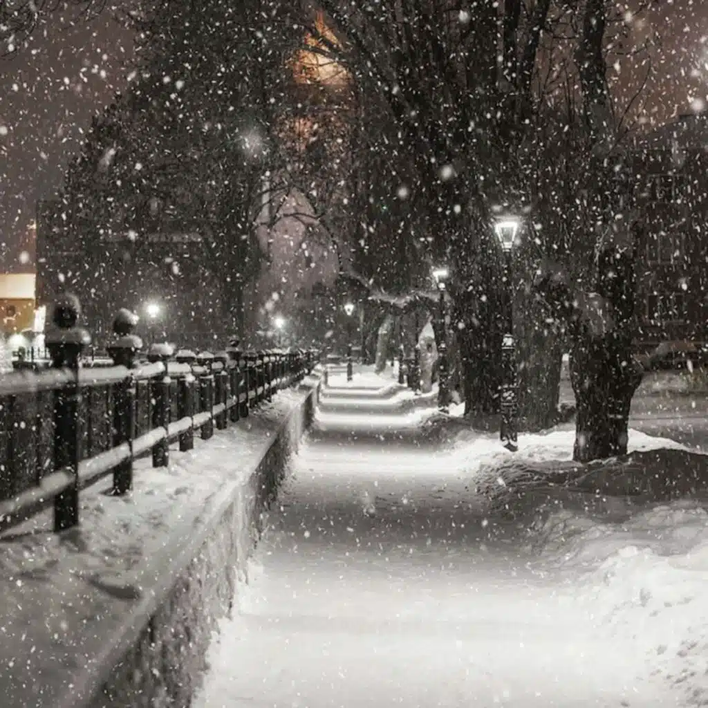 header-image