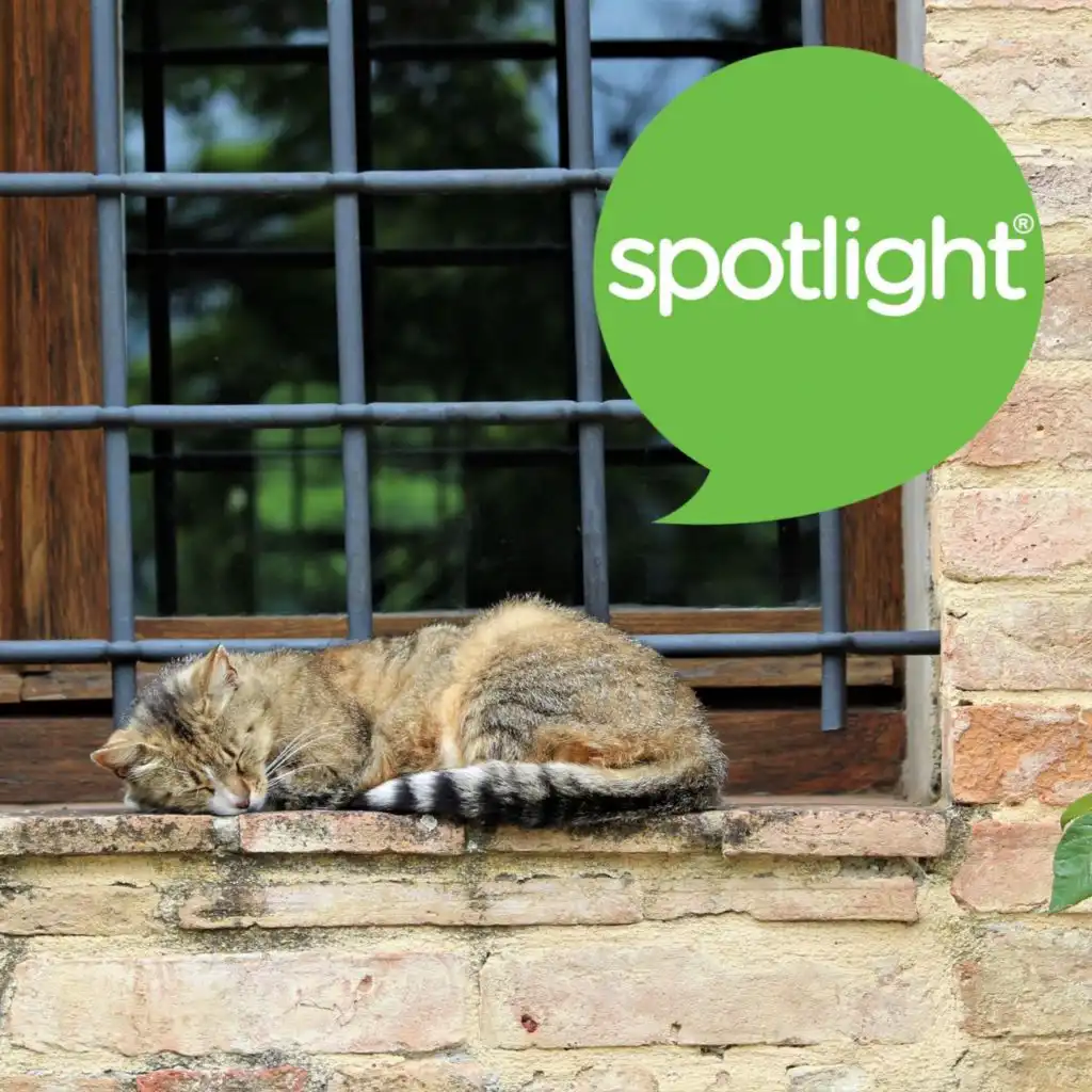 episode-header-image