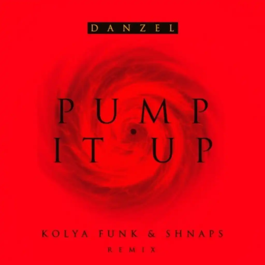 Danzel - Pump It Up (Kolya Funk & Shnaps Remix) [Radio Edit.