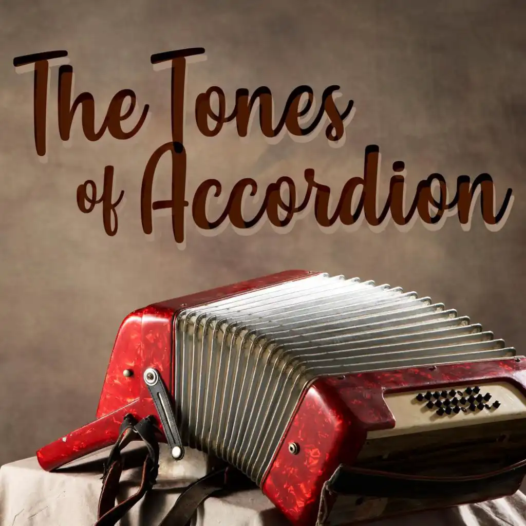 Barcelona accordion deals