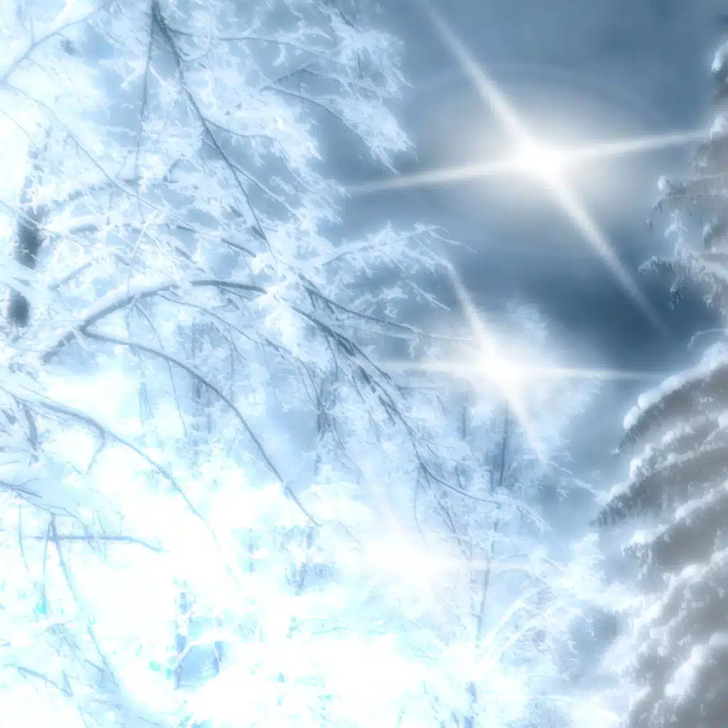 header-image