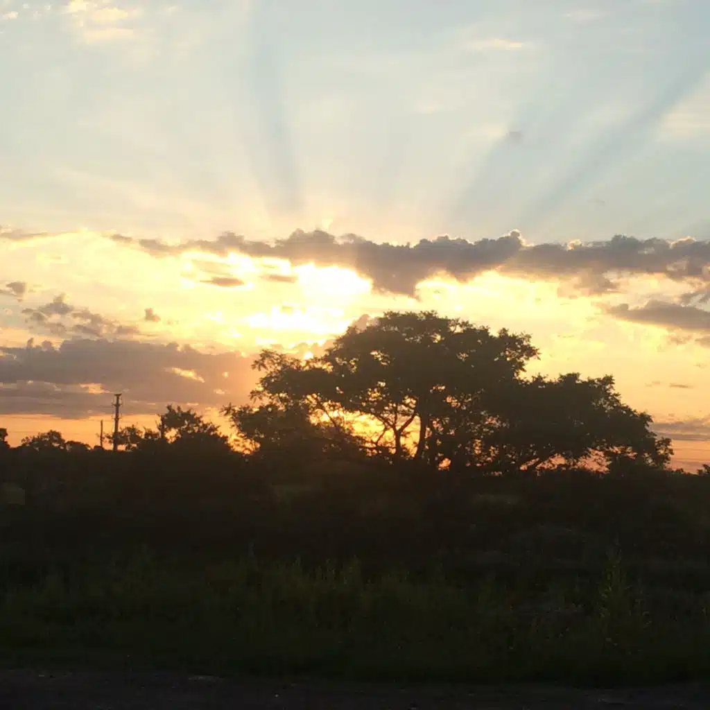 header-image