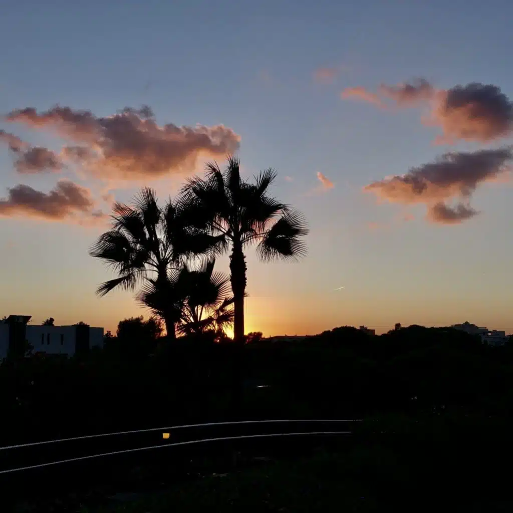 header-image