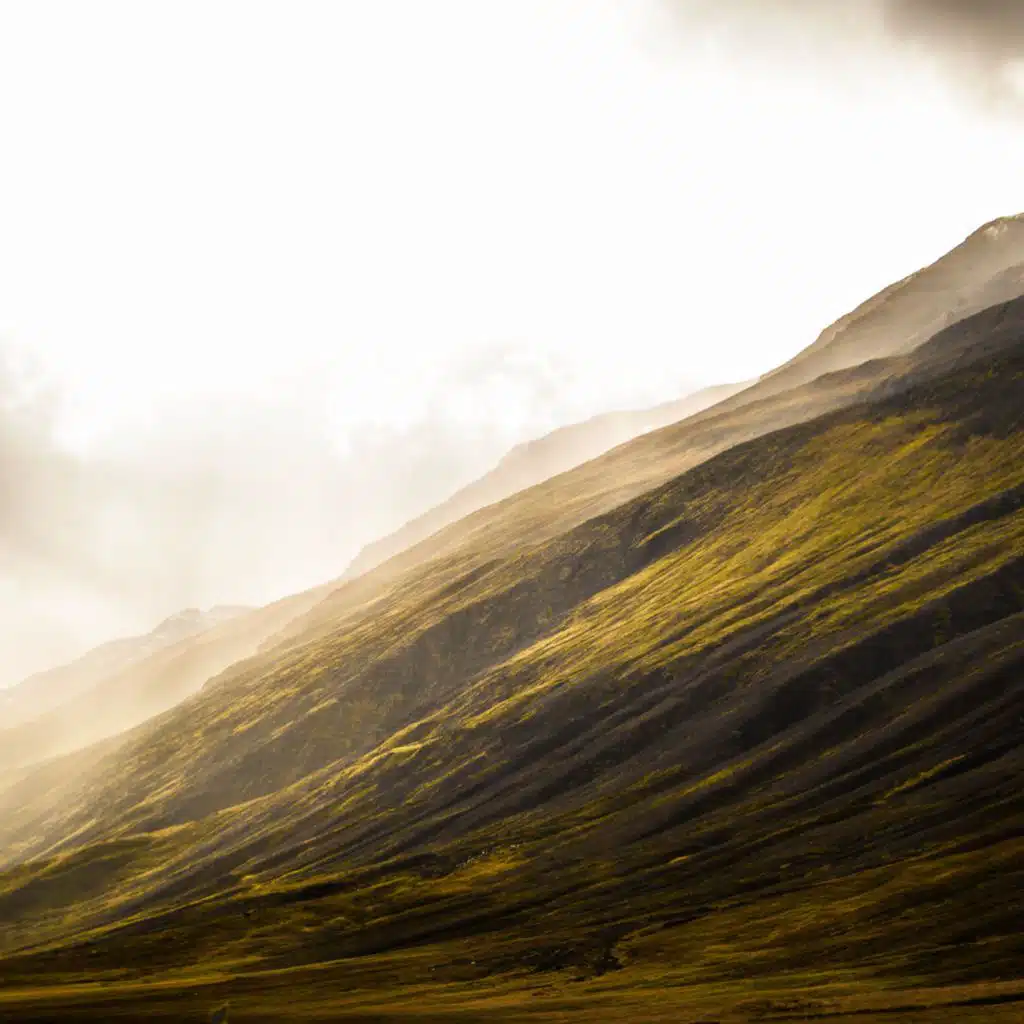 header-image