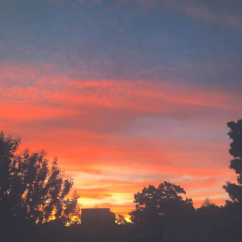 header-image