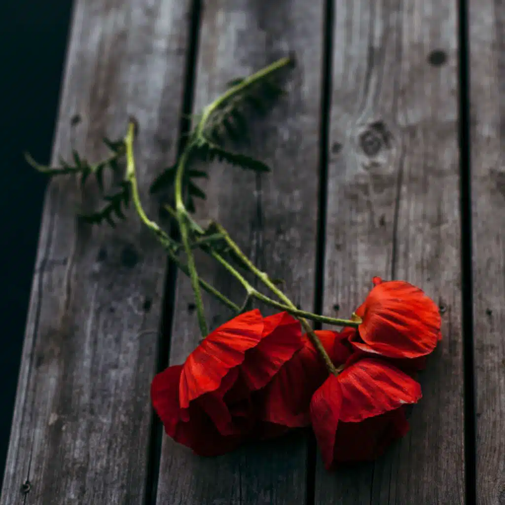 header-image