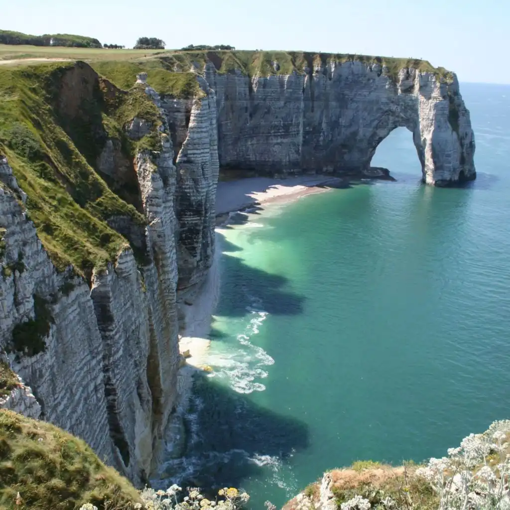 artist-header-image
