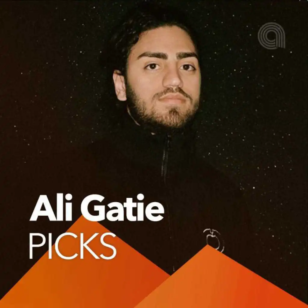 Ali Gatie Picks playlist