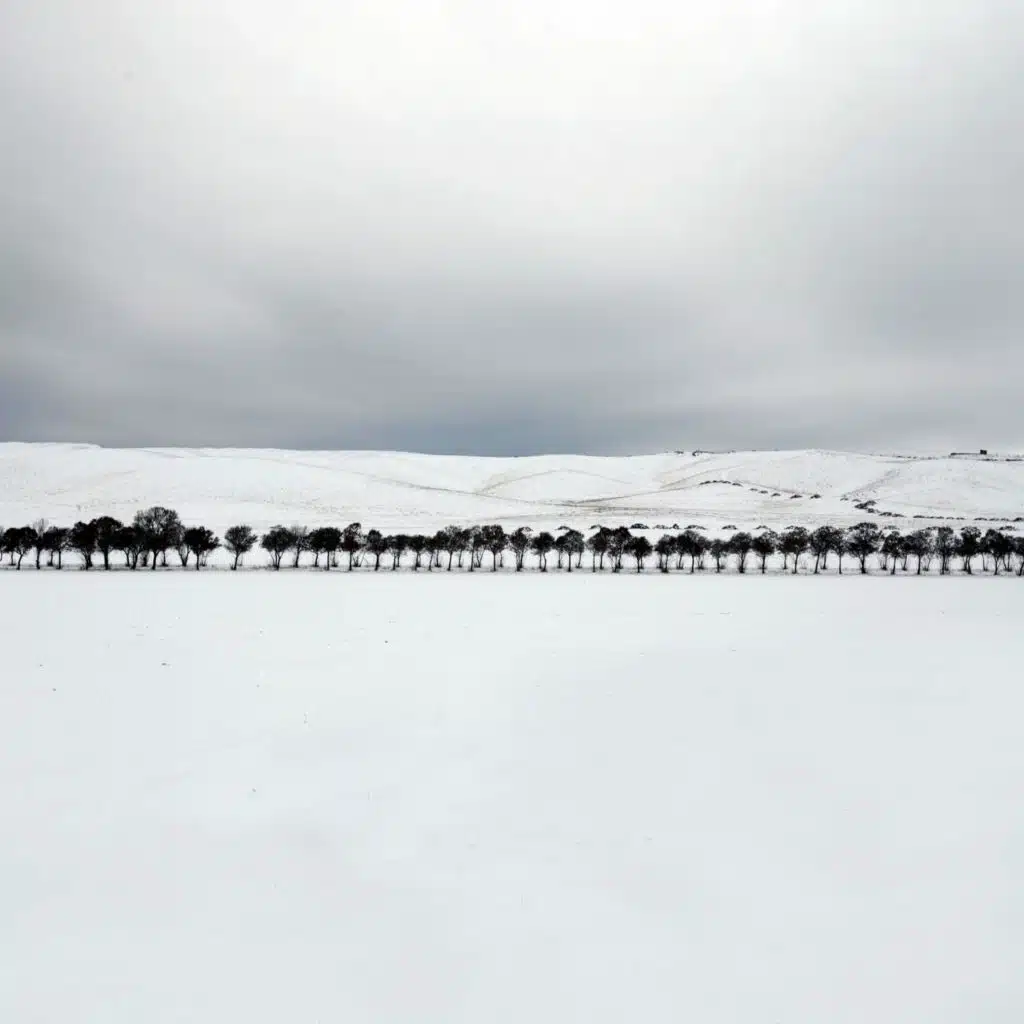 header-image