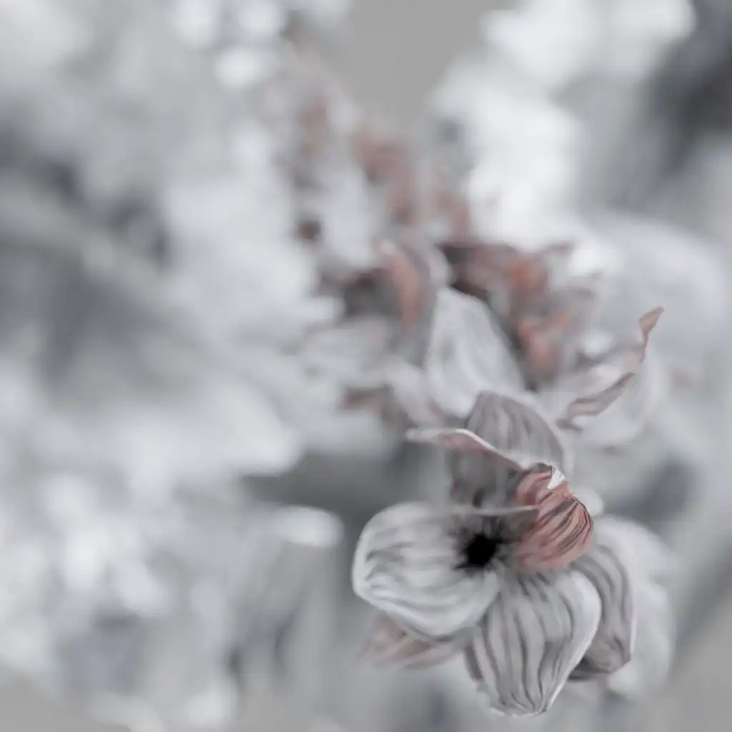 artist-header-image