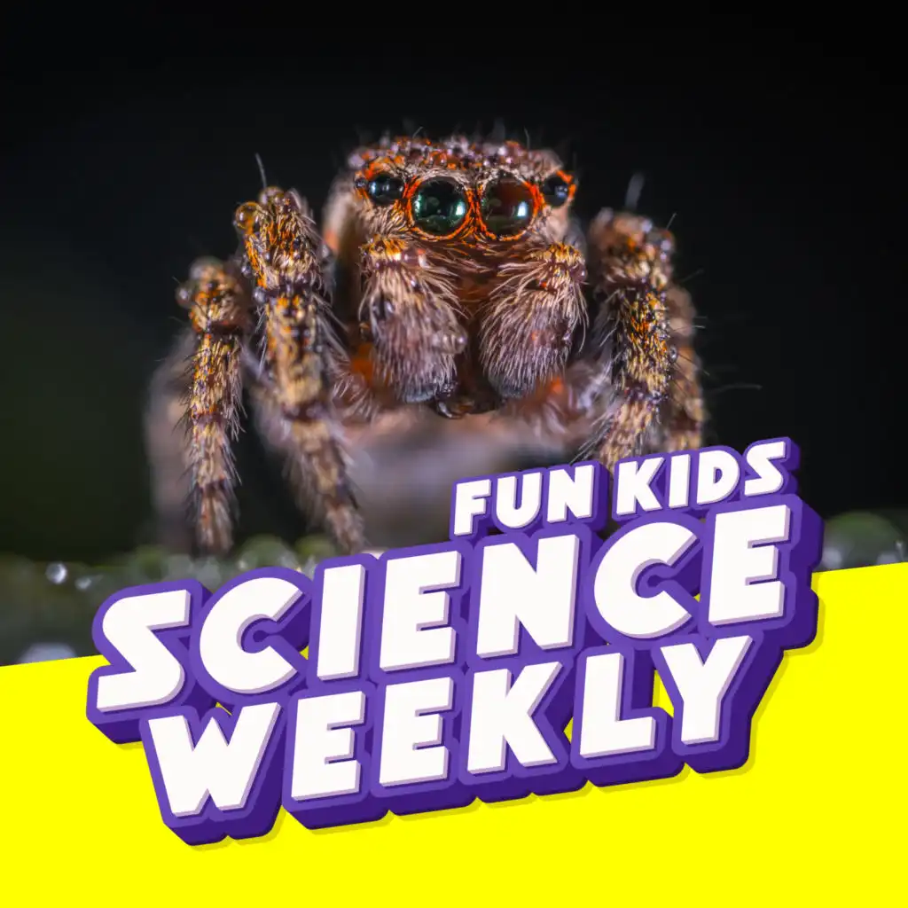 episode-header-image