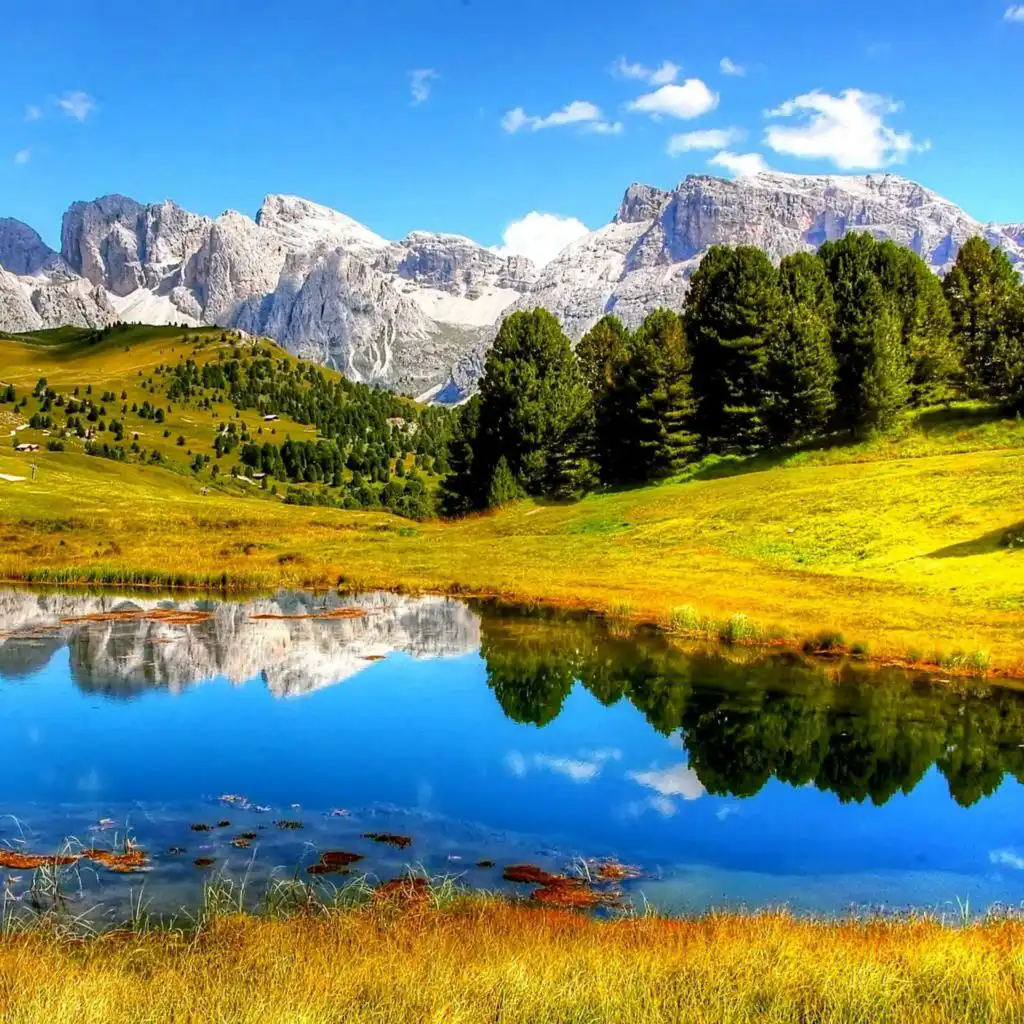 header-image