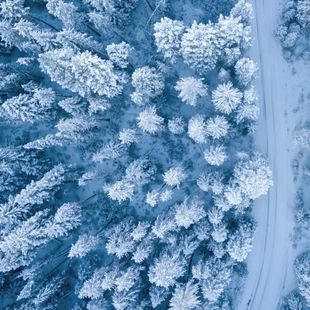 header-image