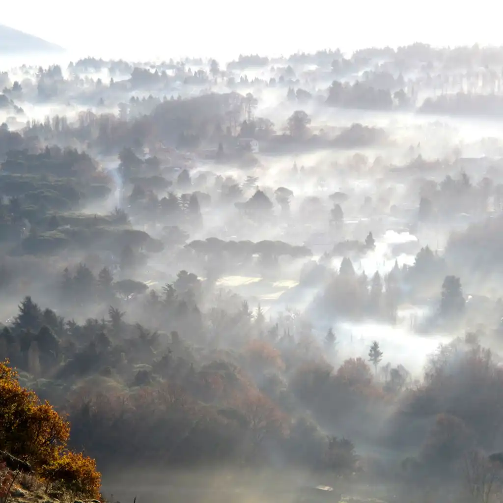 artist-header-image