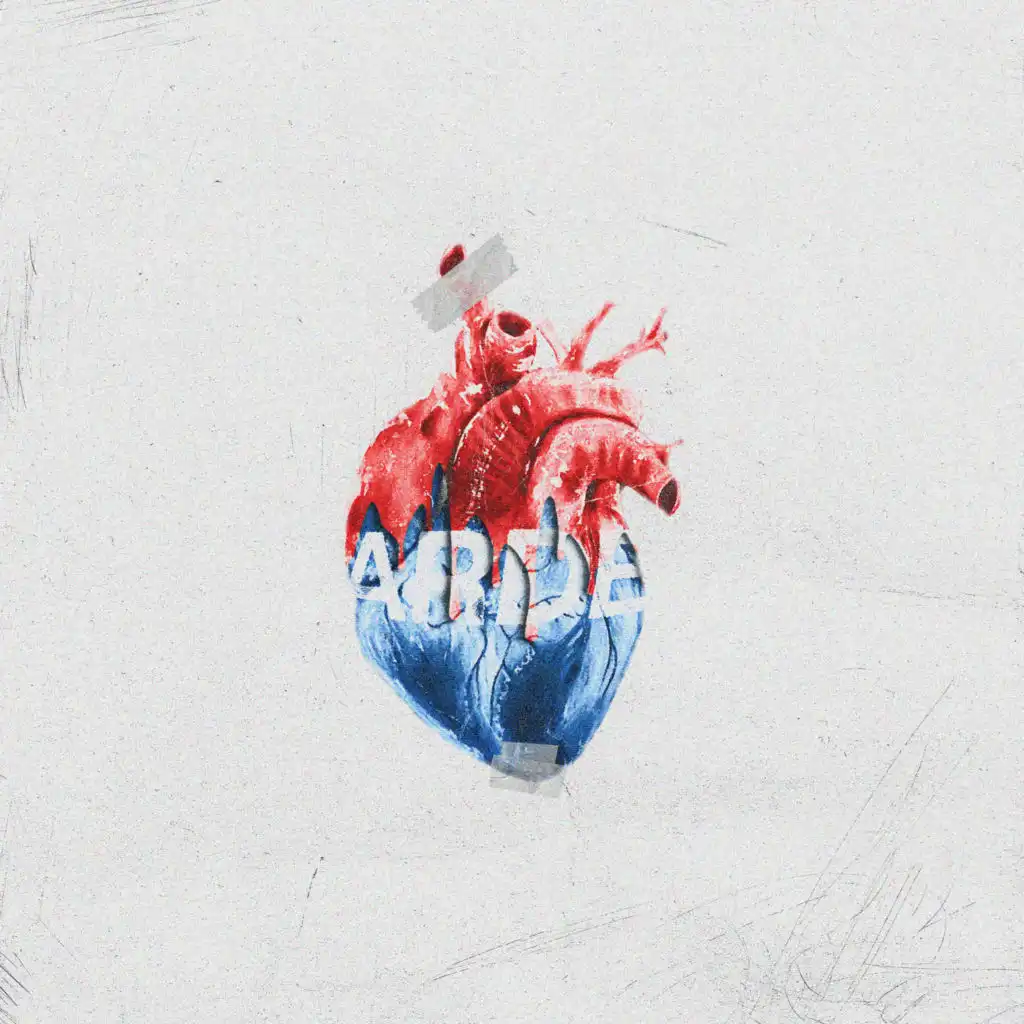 artist-header-image