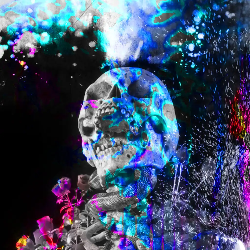 artist-header-image