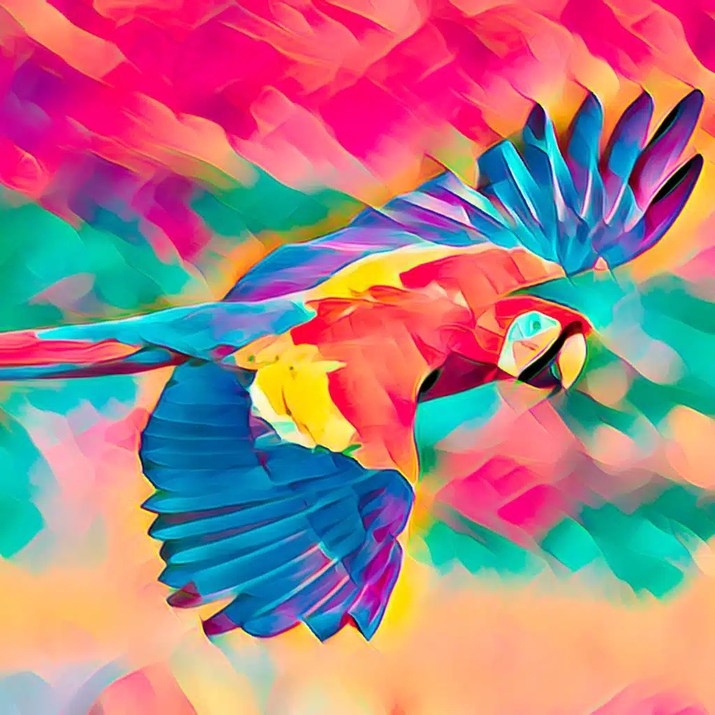 header-image