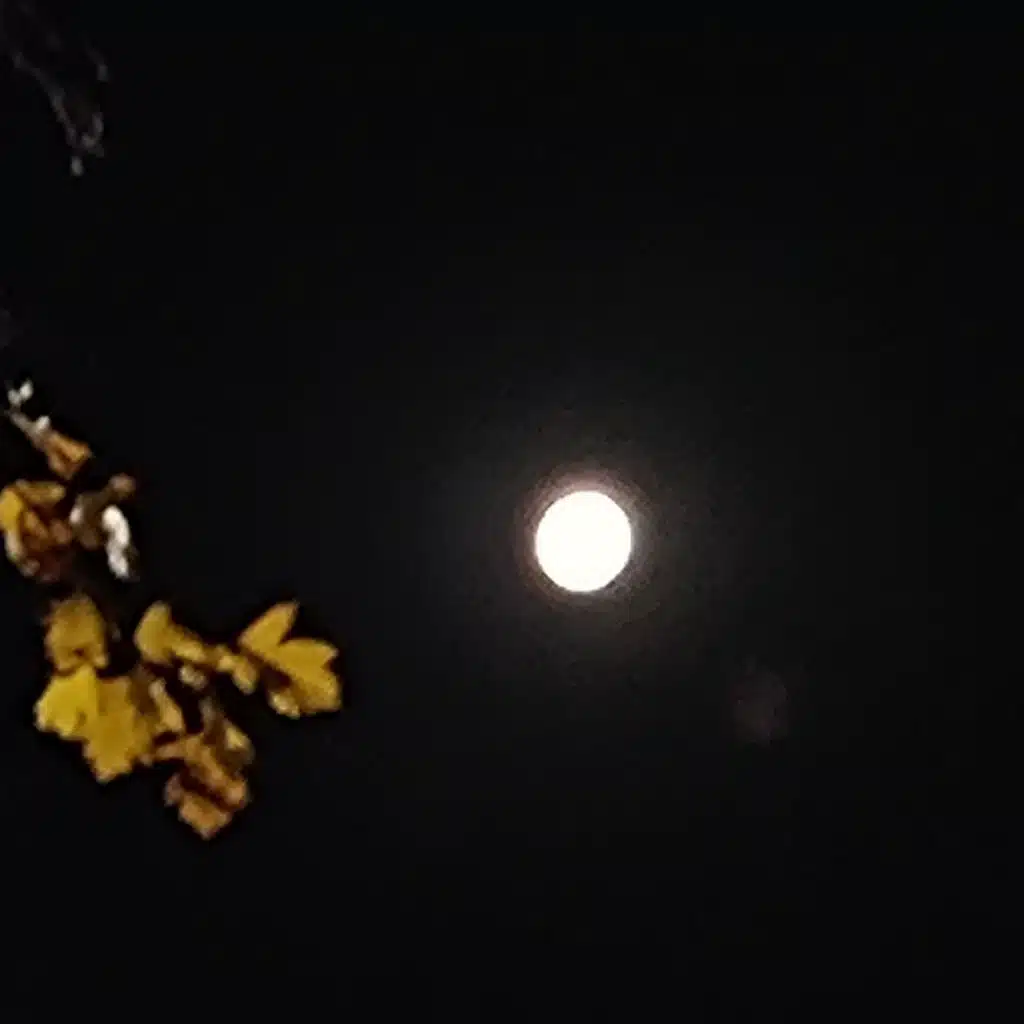 header-image