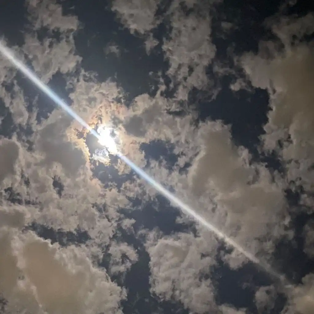 header-image