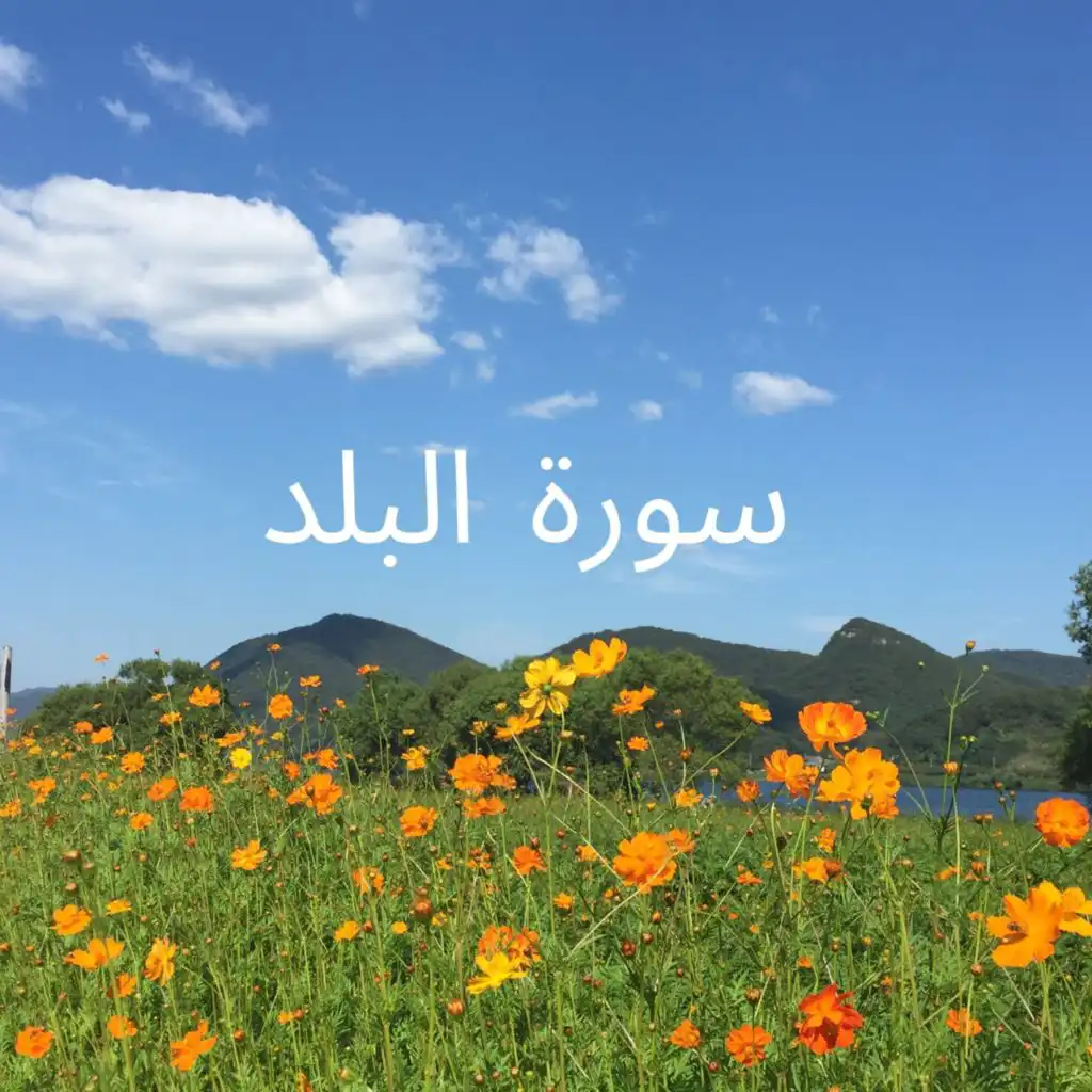 header-image