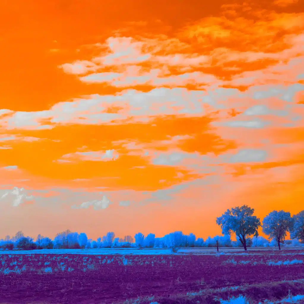header-image