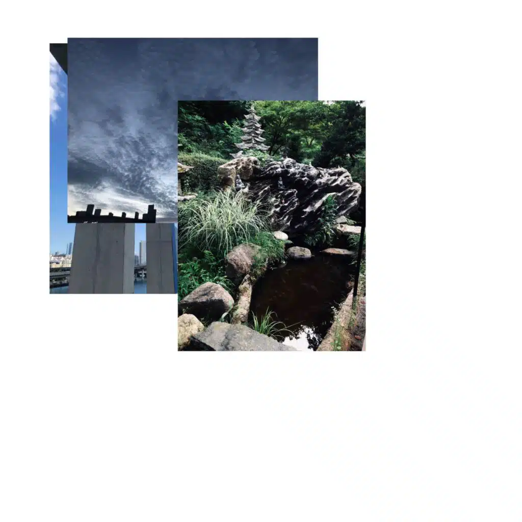 header-image