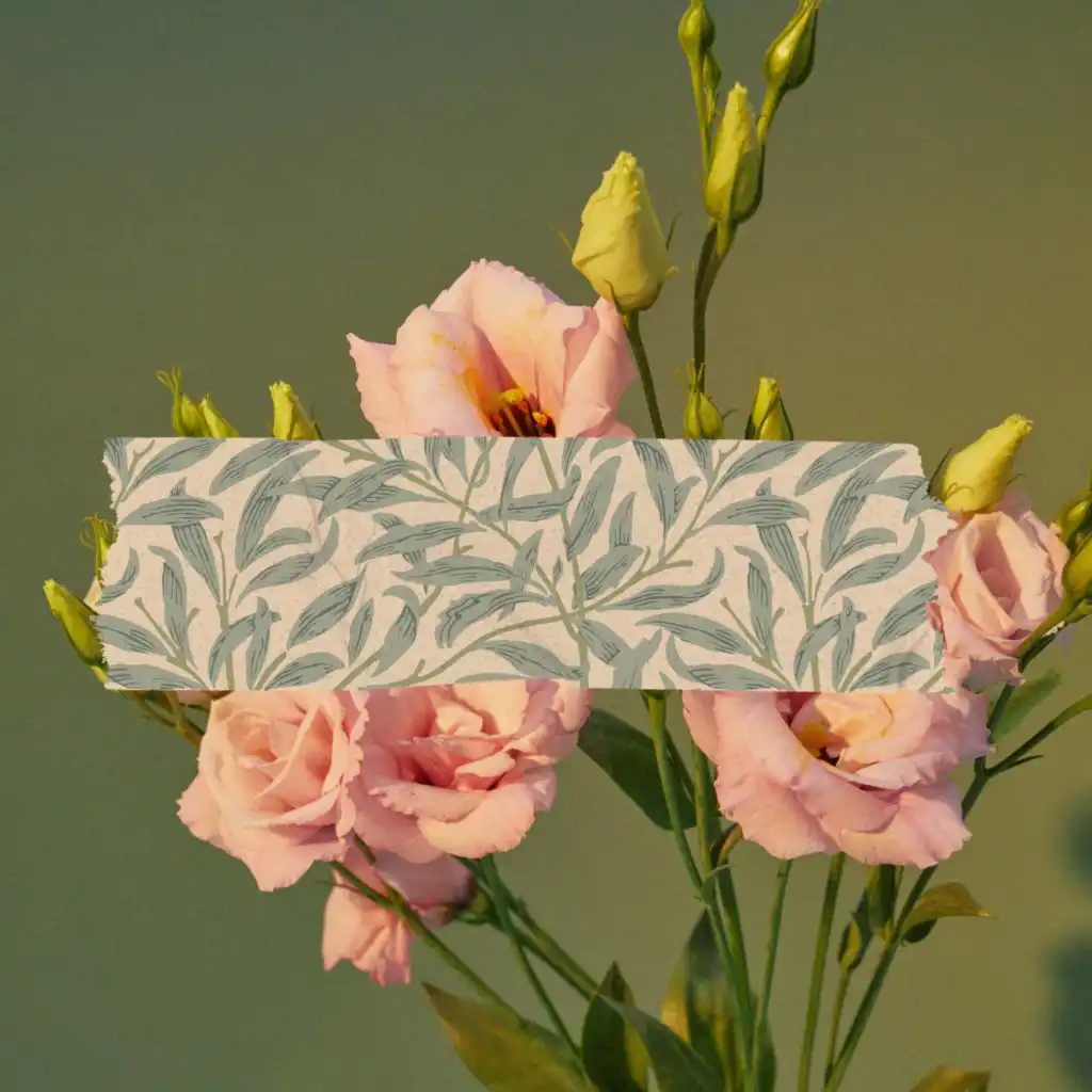 header-image