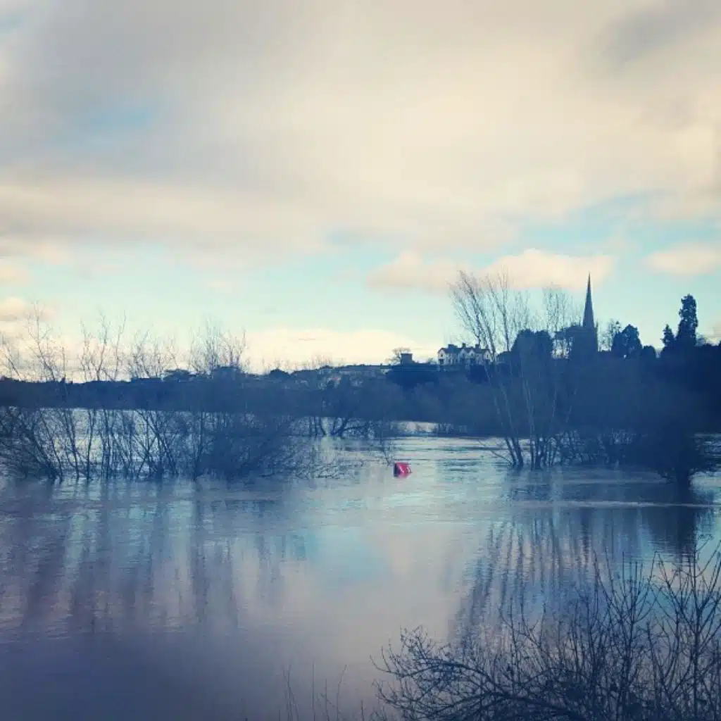 header-image