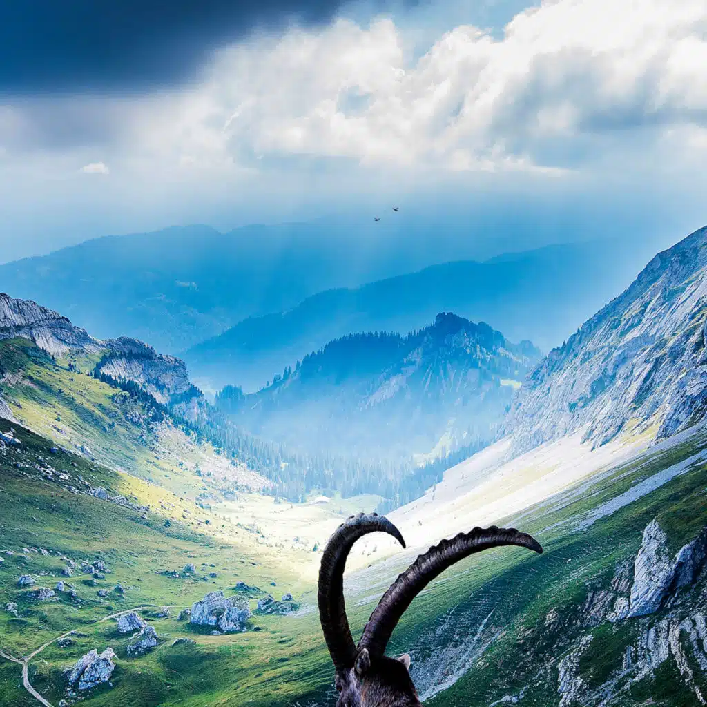 header-image