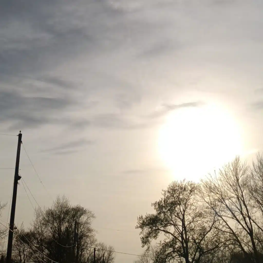header-image