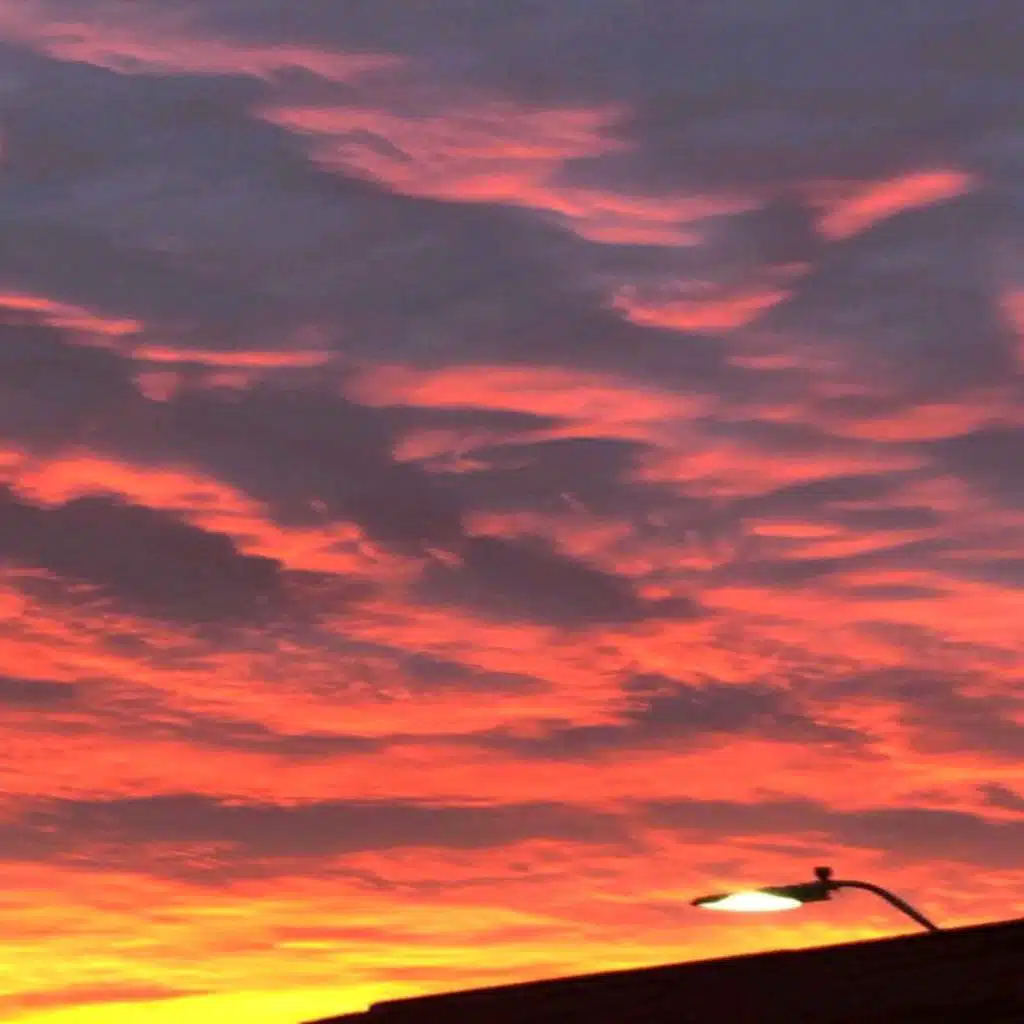 header-image