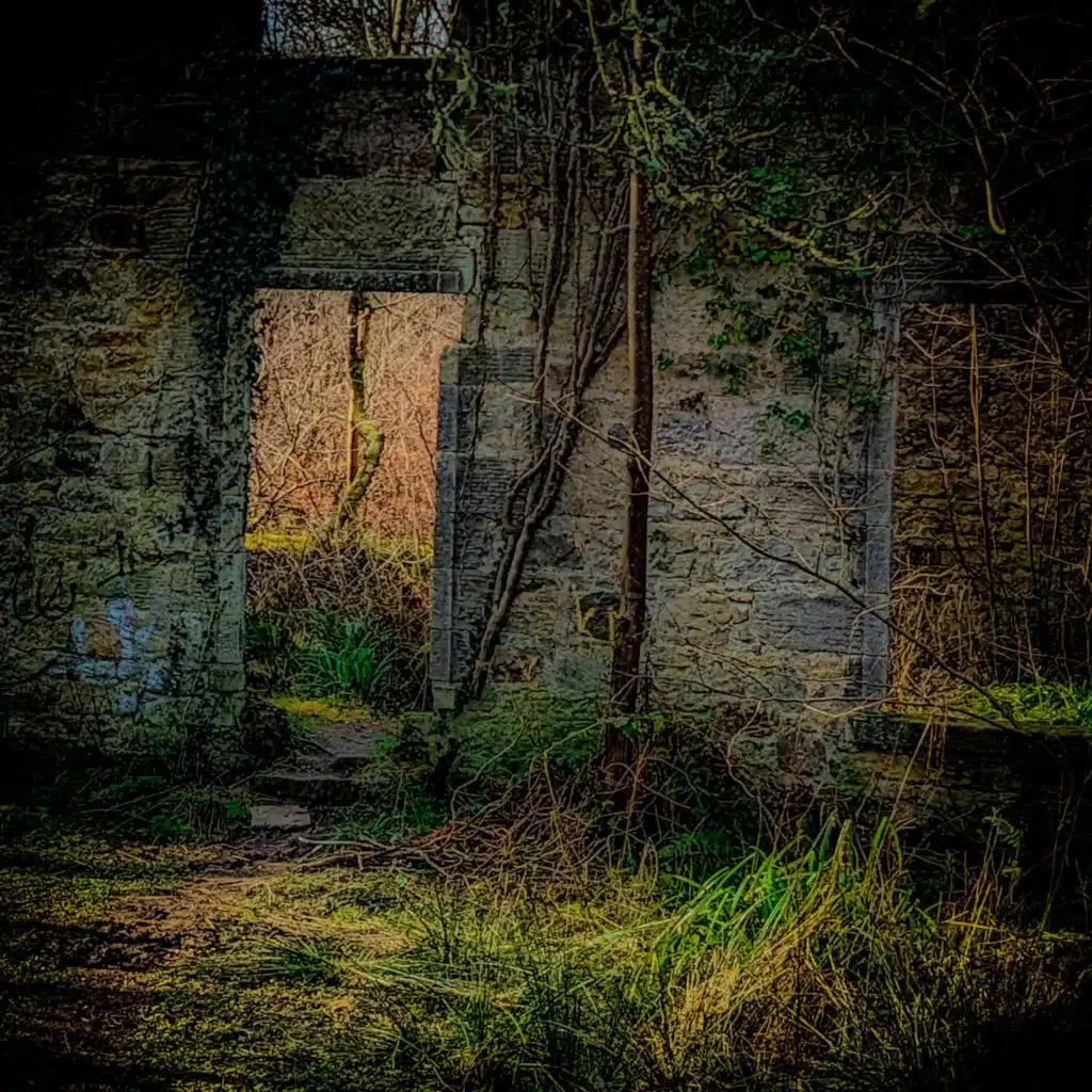 header-image