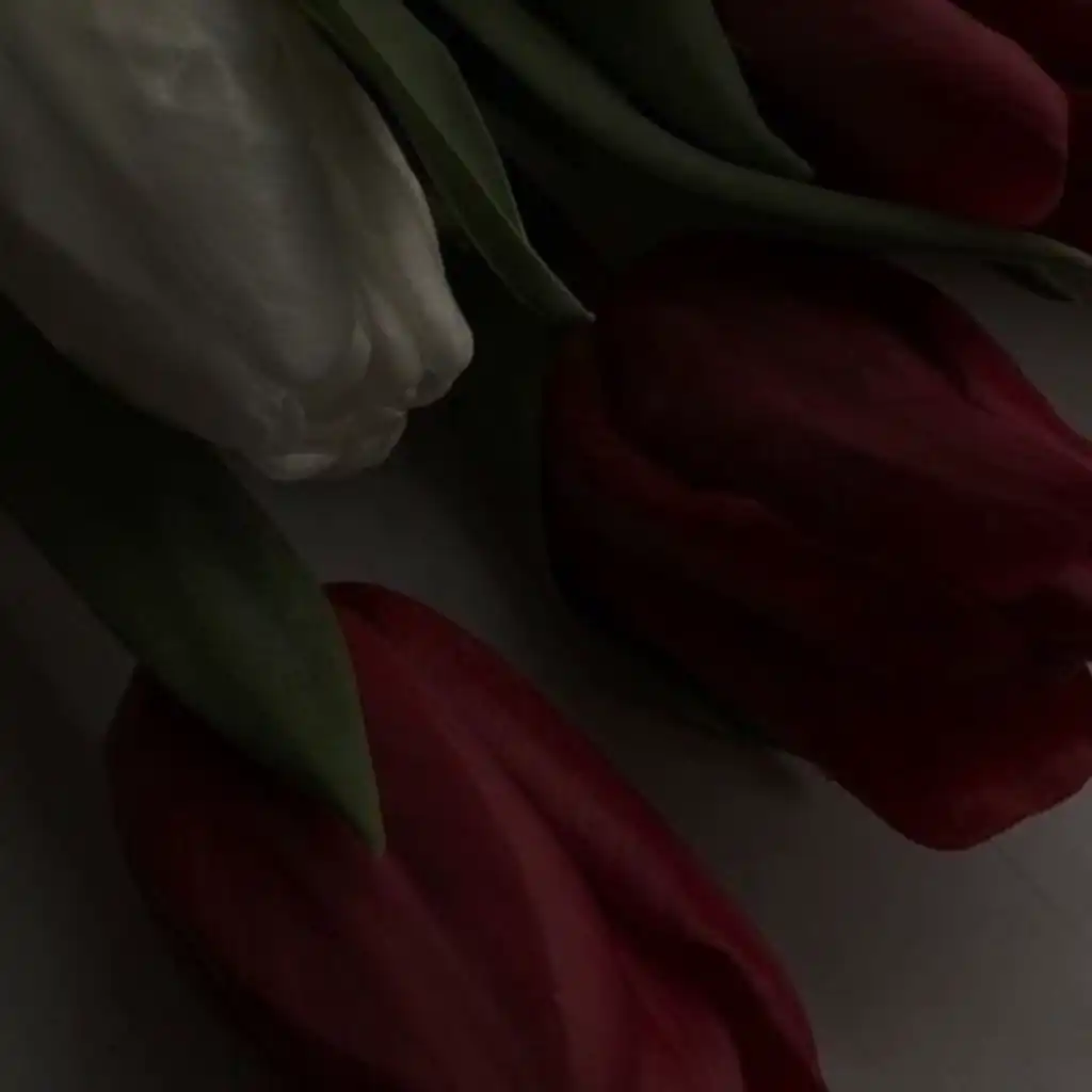header-image
