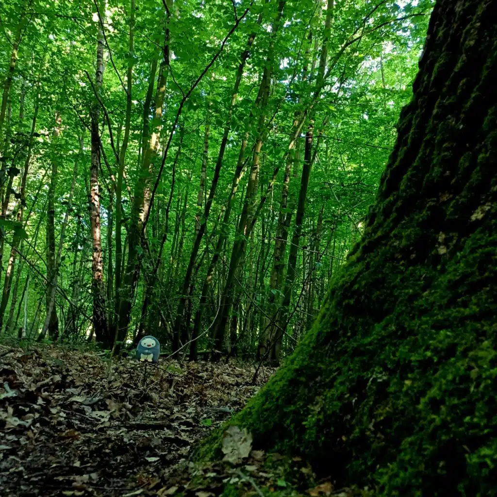 header-image