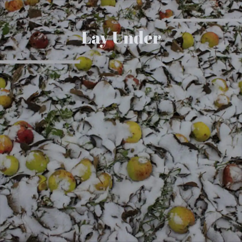 header-image