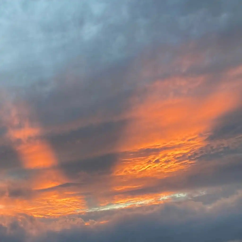 artist-header-image