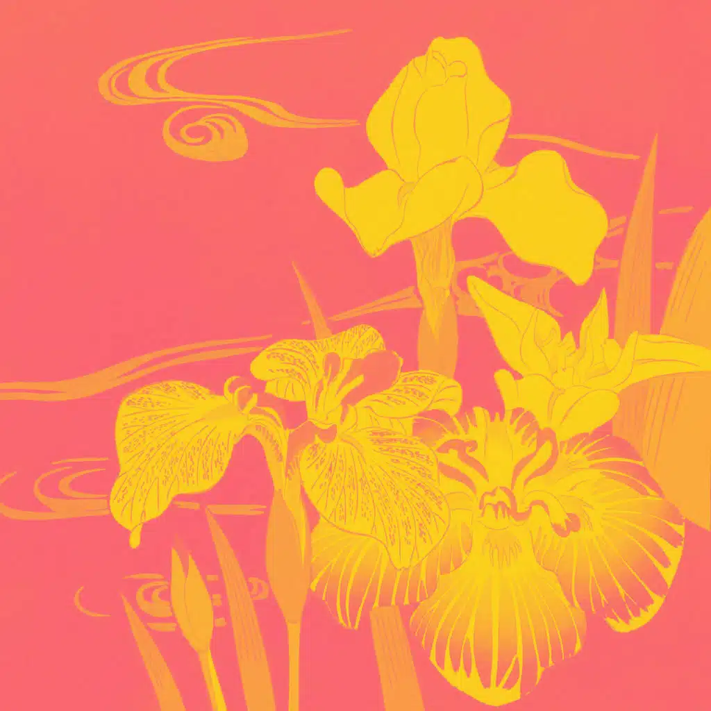 header-image